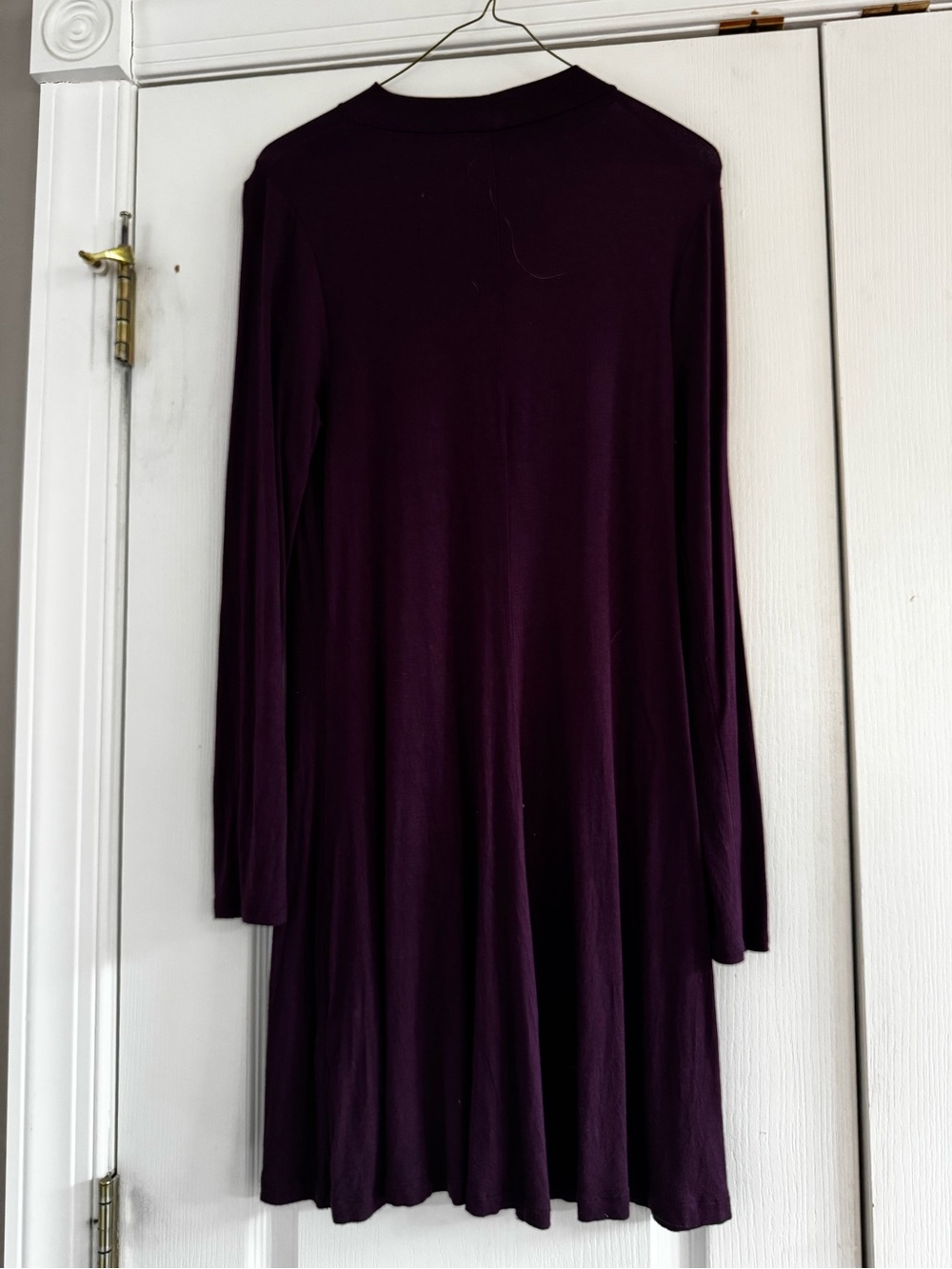 Express Long Sleeve Swing Dress in Plum